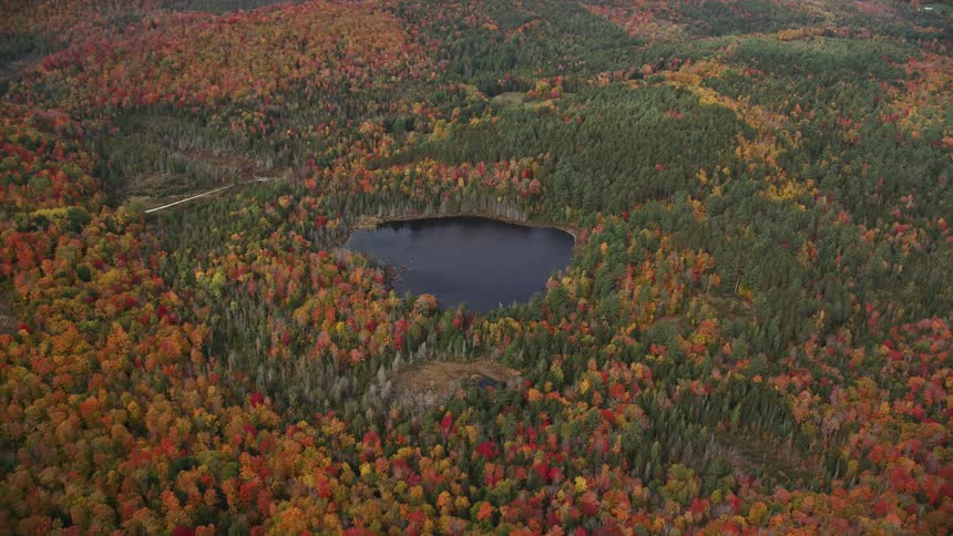 Aerial of a small lake surrounded by a dense autumn forest on a cloudy day