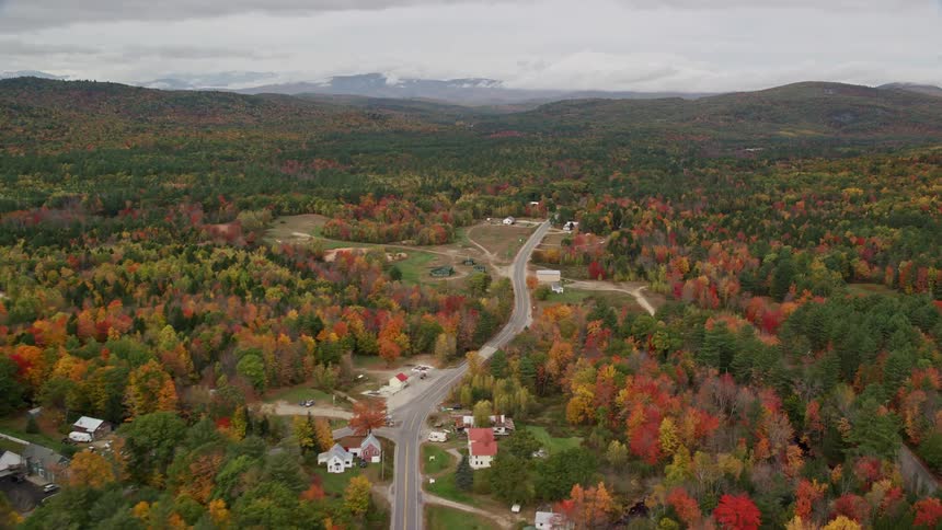 The houses are far apart and surrounded by trees