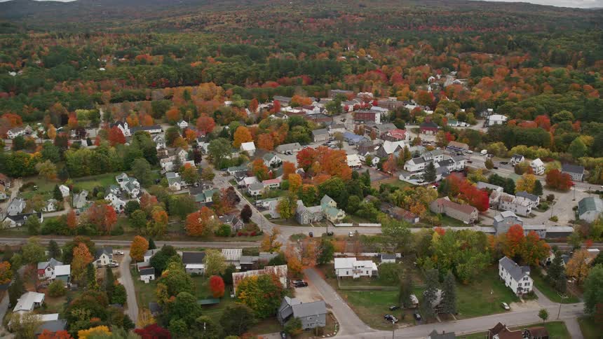 Suburbs of a small city with a lot of vegetation distributed