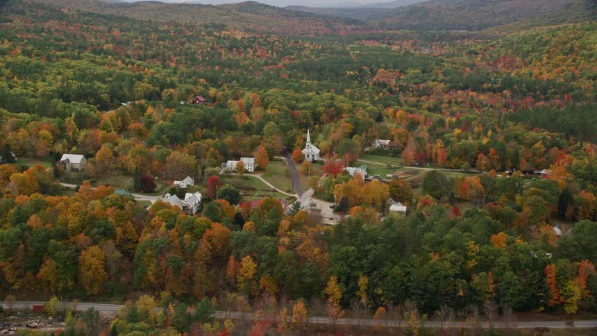 A rural town surrounded by forests of trees