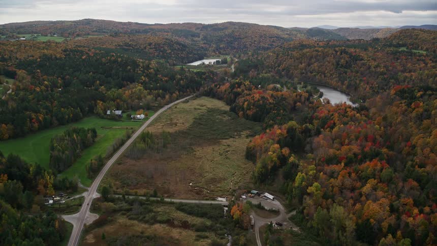 Aerial view of a road through the forest in a rural area