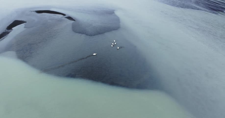 A large river with birds on the water