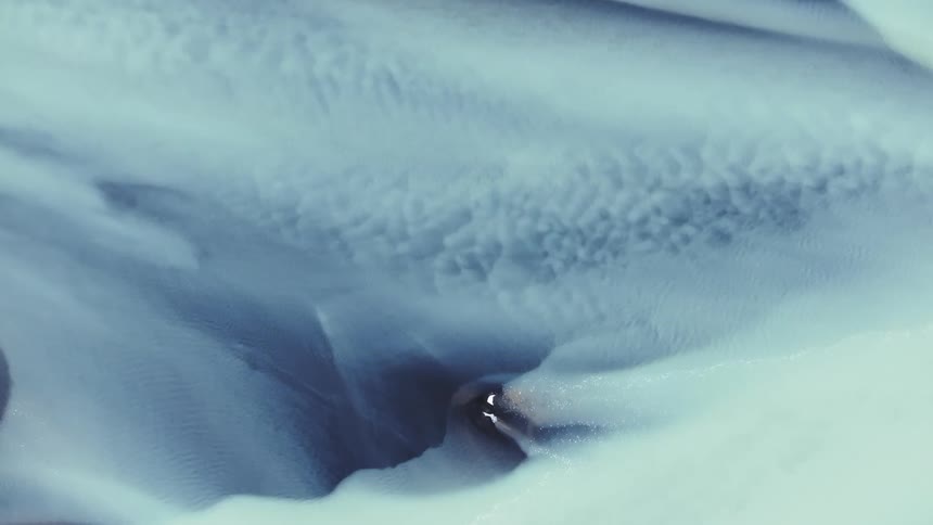 I the arctic there is snow covering everywhere