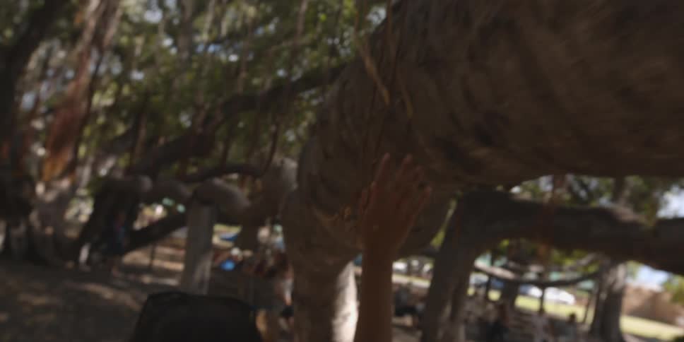 Woman tracing her hand across a long tree