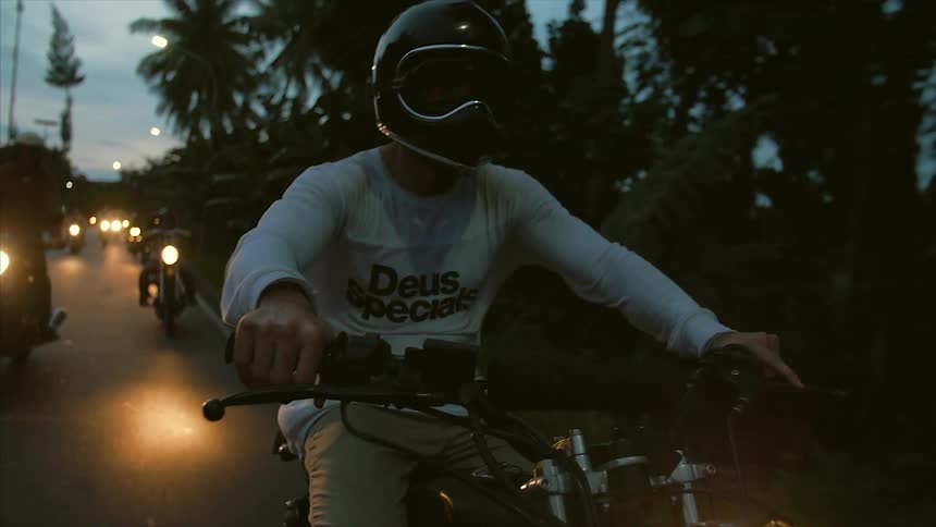 A large group of people riding motor bikes down a tree lined street at sunset