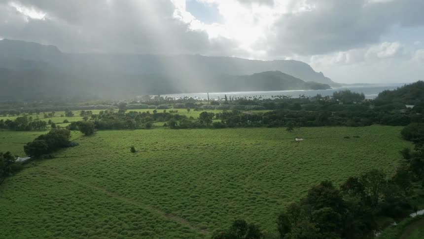 A large field below is covered with grass and bushes leading to water