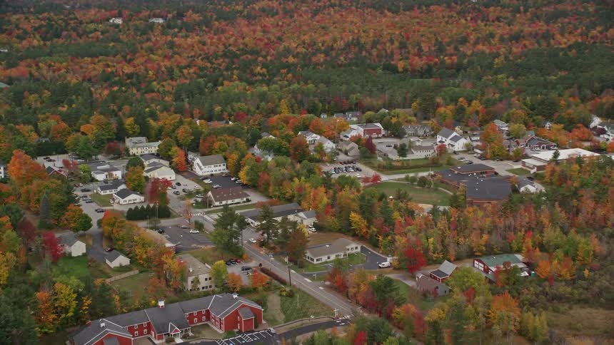 Aerial of a rural neighborhood surrounded by forest