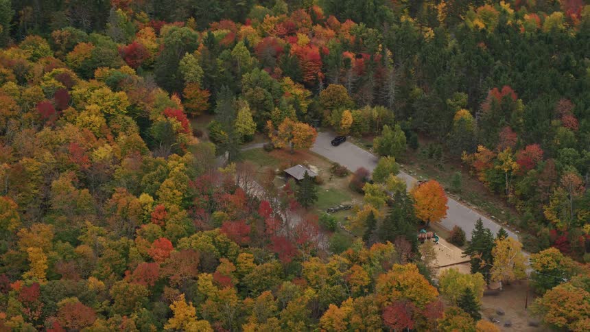 A rural area with a small house surrounded by dense forest