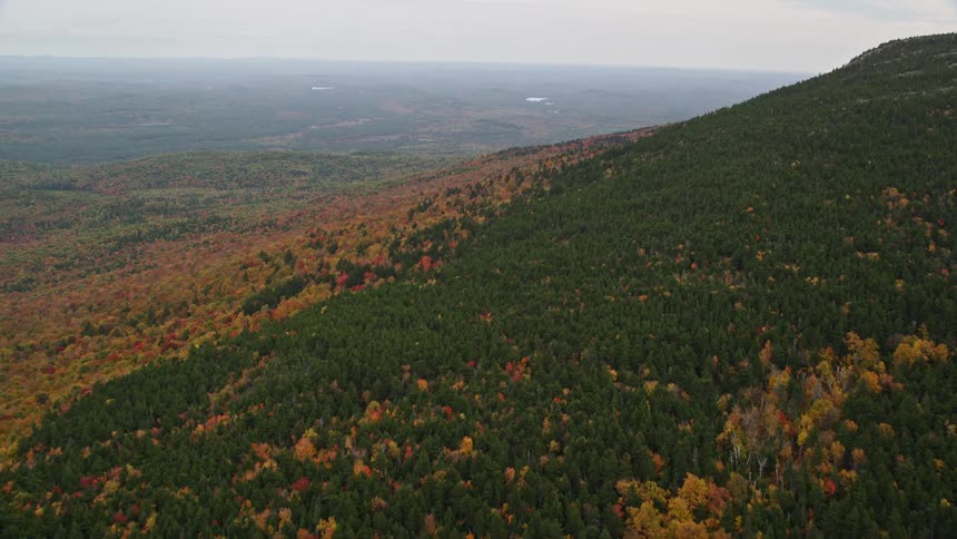 An aerial view of a hill covered in forest of green and orange leafy trees