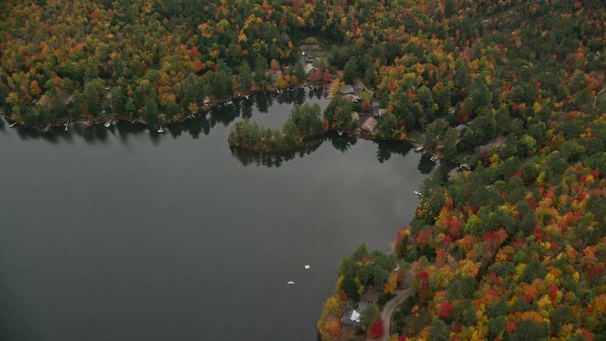 Skyline of a forest with a house on the lake shore