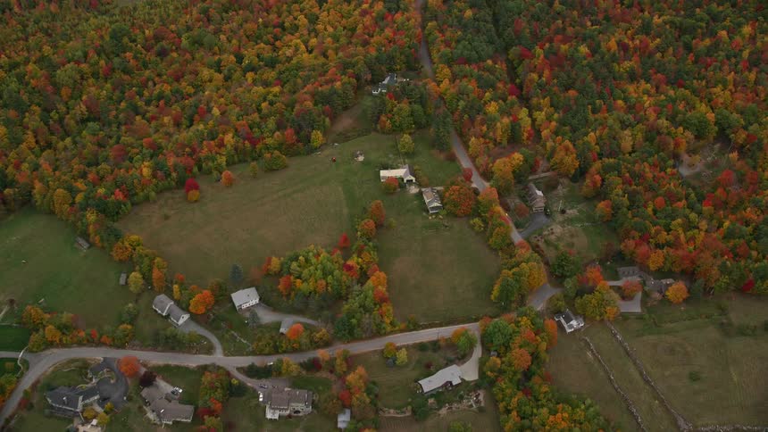 A small town with a few houses and a tree forest with orange leaves