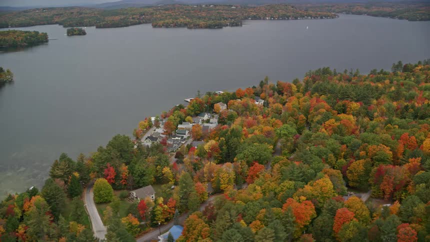 A small town close to the river bank surrounded by forest