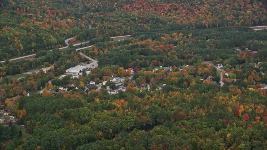 Aerial view of suburban neighborhood nestled in fall color