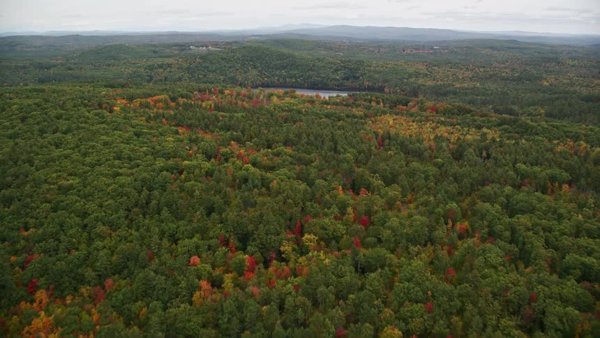 Aerial of wild forest with small lakes