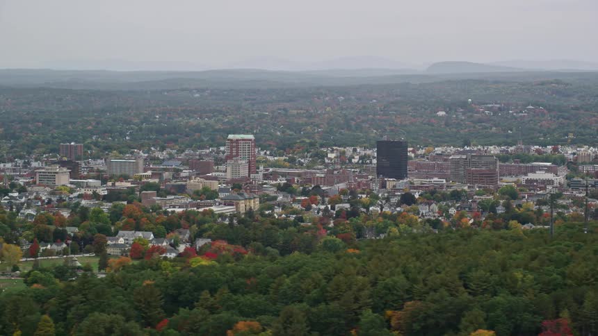 Panorama of an urban city amidst extensive vegetation