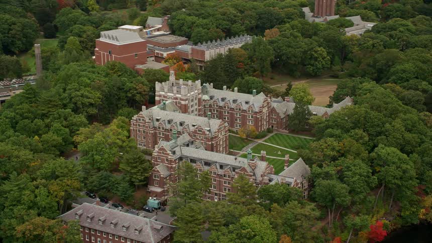 Skyline of a castle surrounded by forest in the suburbs