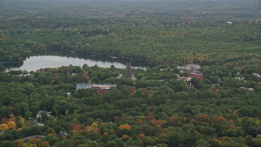 Aerial view of a town in the forest next to a lake