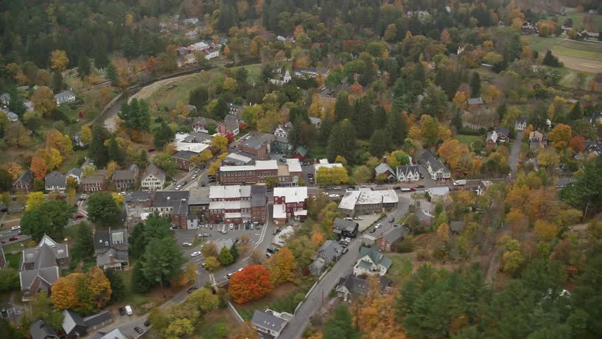 Aerial panorama of an urban city with extensive vegetation