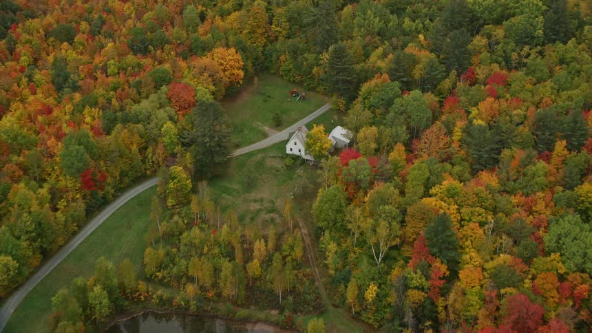 A small white house isolated in a forested area of trees with leaves turning orange