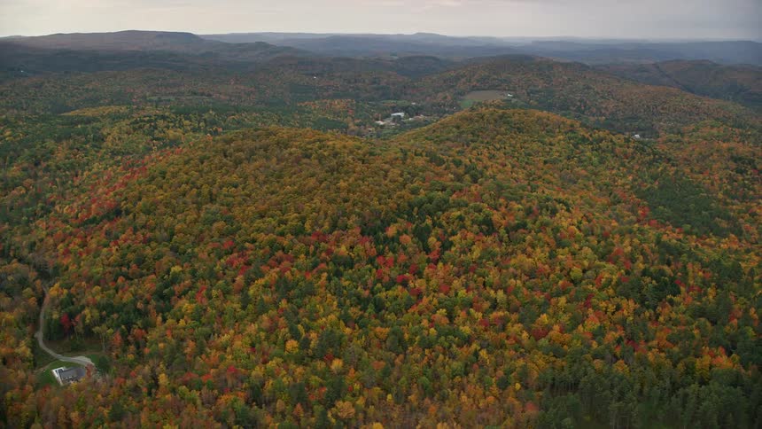 A very small town in midst of a forest with mountain and hills covered in trees