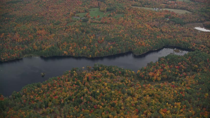 Aerial view of an autumn forest and a river