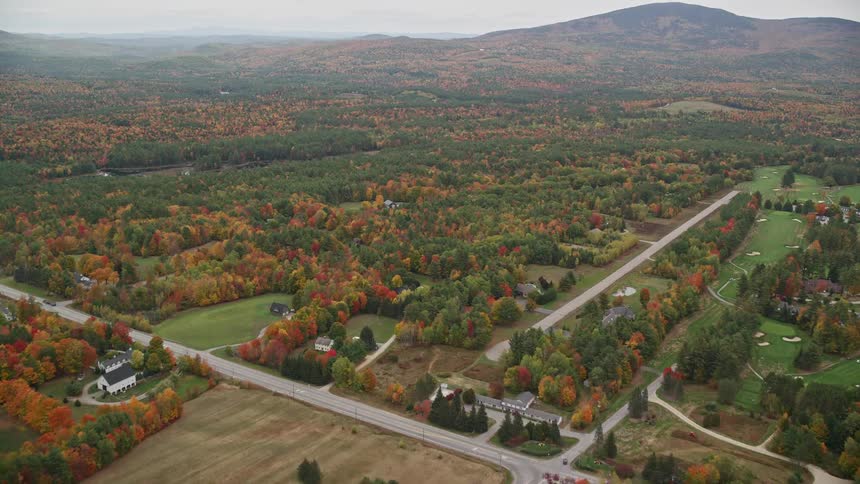 The forest is full of colorful trees