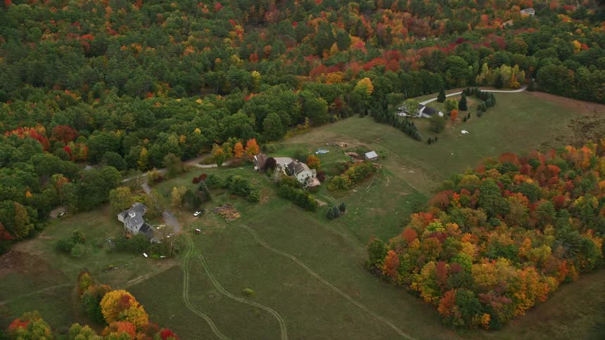 An aerial clip of a community in the forest