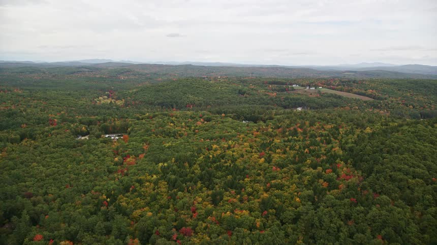Aerial view of a river in the middle of a forest