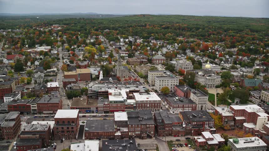 A suburb of a city with many houses and on the horizon there is a forest