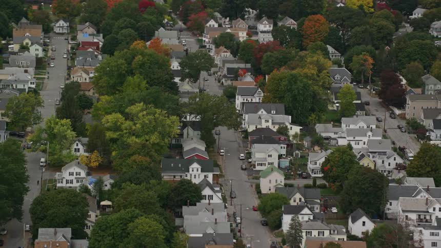 Aerial view of a residential suburban area with trees