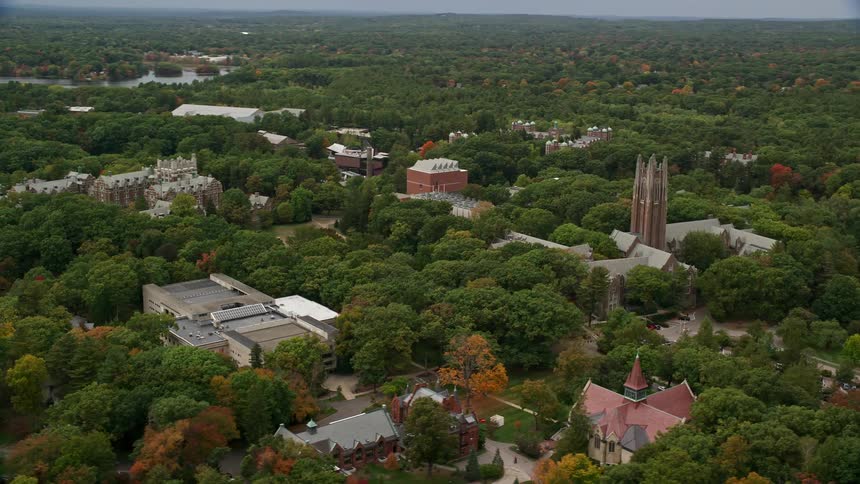 Aerial view of an urban city in the middle of a forest