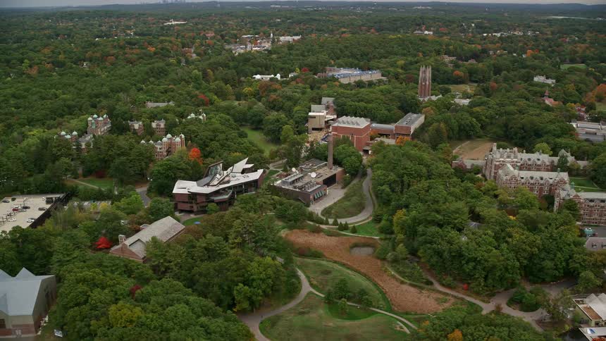 A sub urban area with buildings surrounded by trees