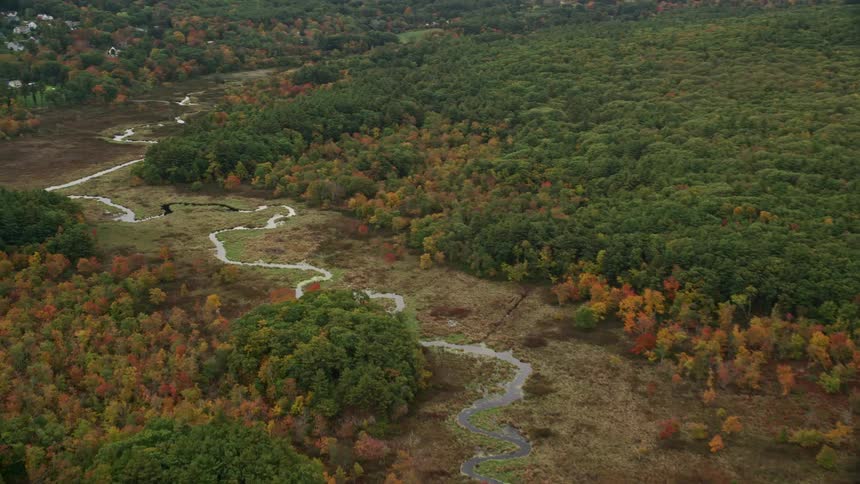 Aerial view of a winding river through autumn forest