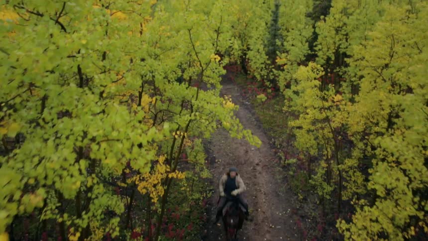 A person rides a horse on a trail through the woods