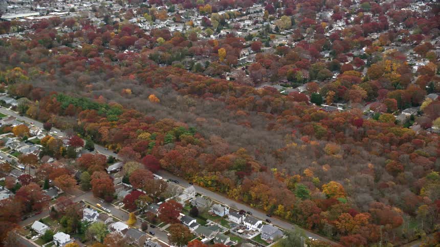 Aerial of residential neighborhoods separated by patch of woods during the fall