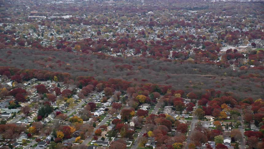 Aerial of trees and houses in a suburban area at midday
