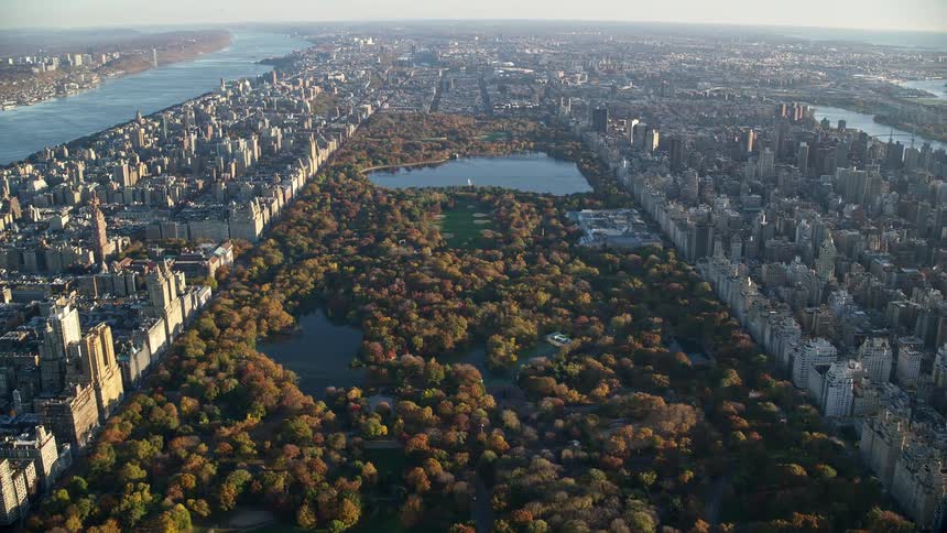 A city skyline with a park in the middle filled with trees and a lake