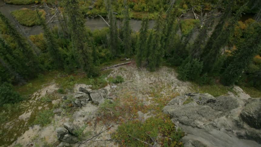 The side of a steep cliff has tall trees and a small stream below