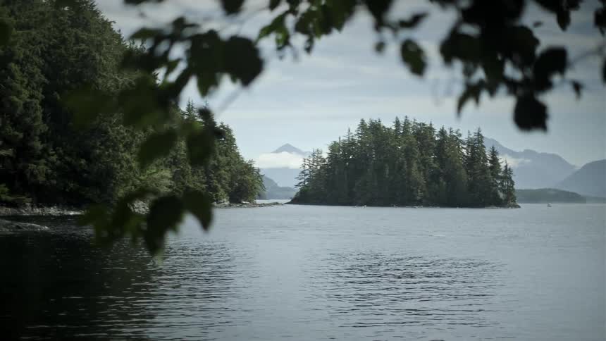A beach with some islands nearby with a forest of green leaves Vancouver island, Swanson island, Johnstone strait, blackfish sound