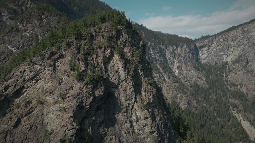 Skyline of a rocky mountain with forest during the day