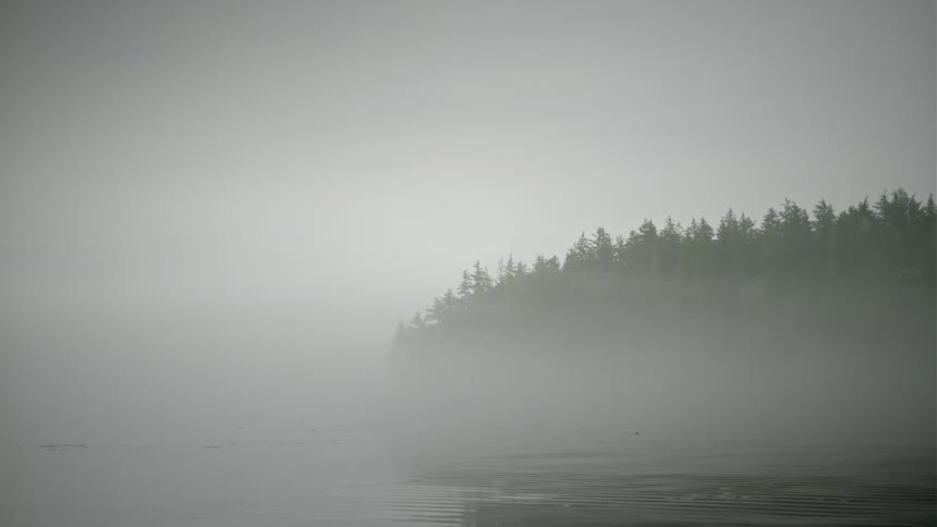 A river bank covered in fog with the water forming small waves and some trees at the bank