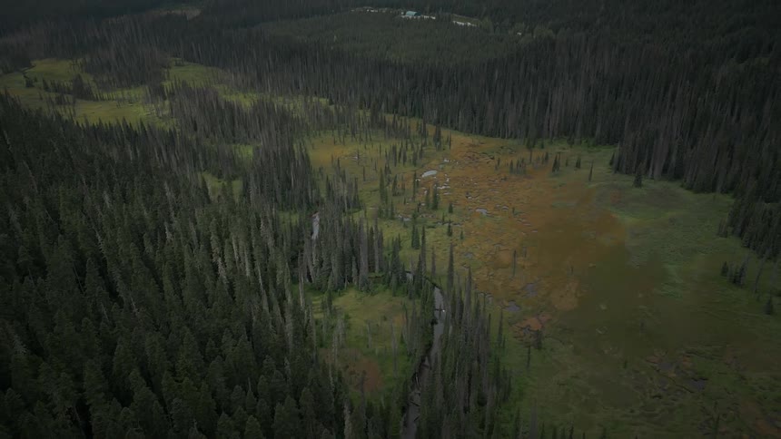 A region with forests and very high mountains in the background