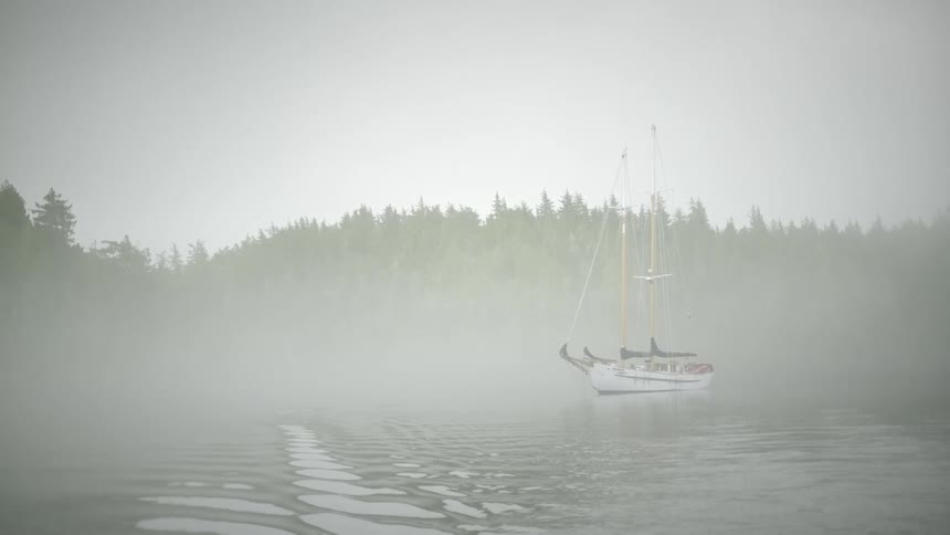 A sailboat is stopped in water near the forest and in fog