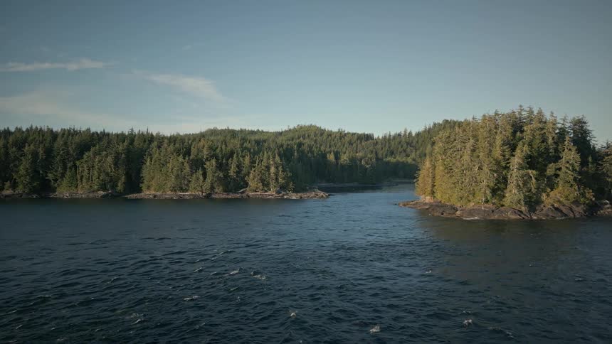 A clip of the river and woodland