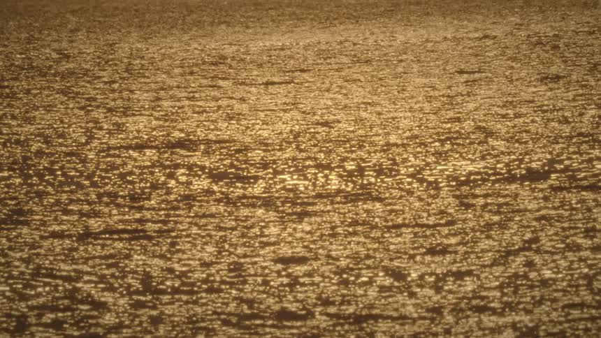 Golden sunlight shines upon the water as it ripples and waves