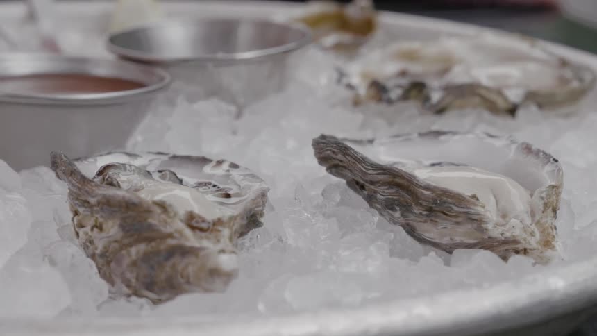 Closeup of a plate with oysters and ice