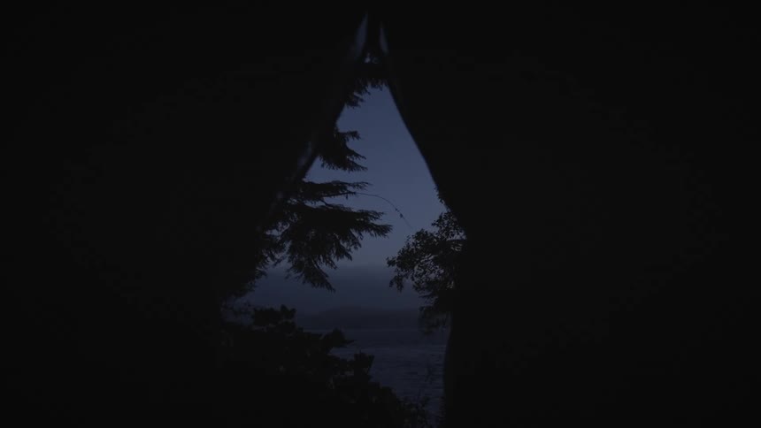 Panorama of nature with trees and the sea under a dark dawn sky