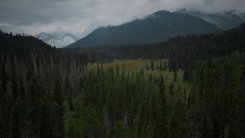 Vancouver Island Aerial Mountains and Trees