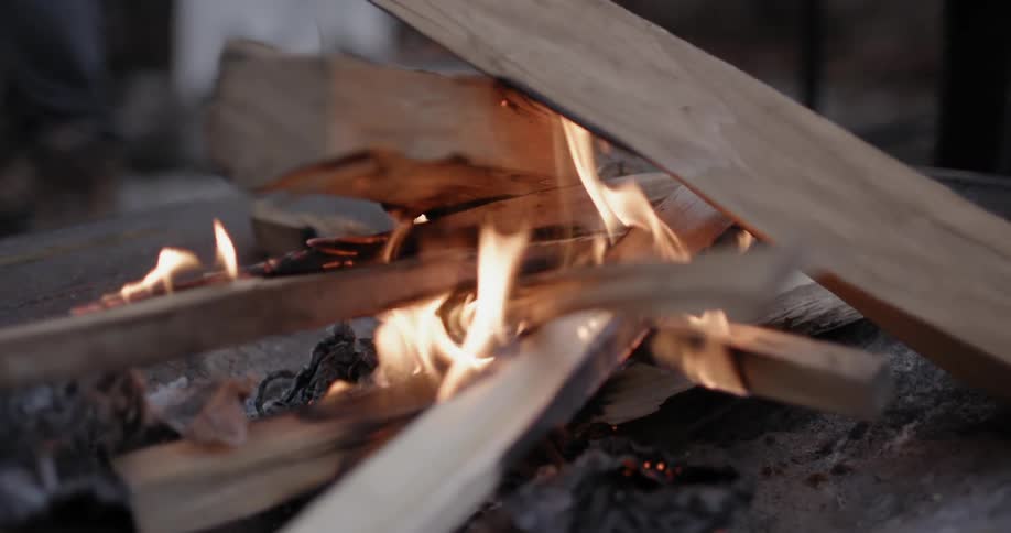 A small fire burning with pieces of wood