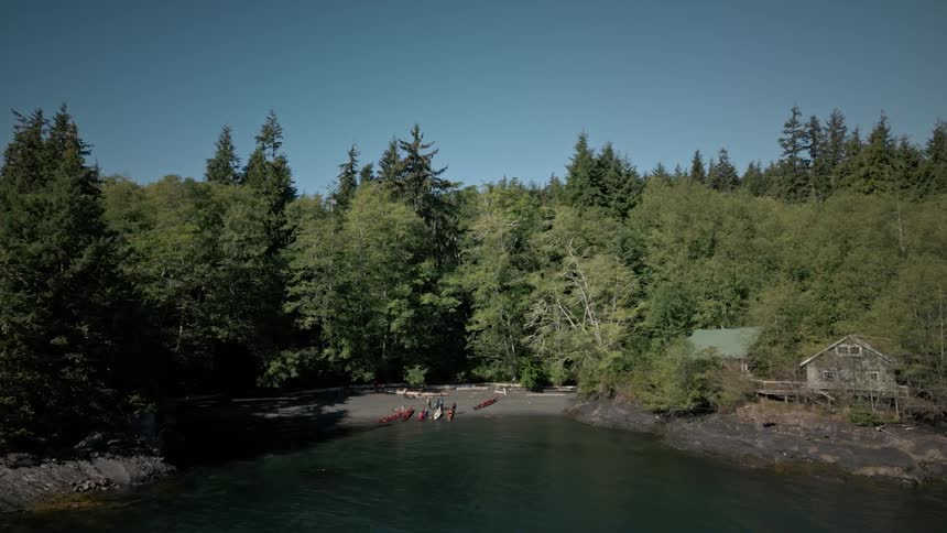 Aerial view of a group of individuals gather by the shoreline with kayaks amidst a serene forested landscape with a cabin hidden among the trees under a clear sky